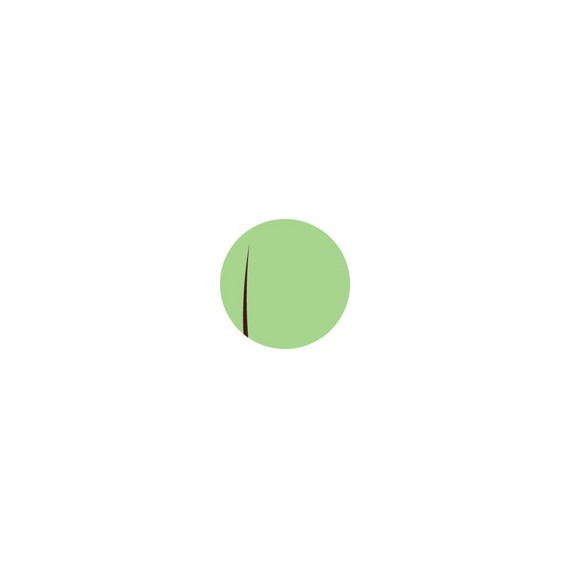 SOUS VERRE EUROPOCHETTE Ø9cm BARI VERT