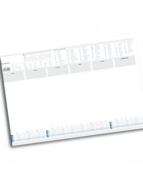 CALENDRIER SOUS-MAINS AURORA 400*600mm 100 pgs 2026