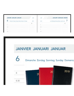 AGENDA AURORA 1 JOUR/ PAGE 32*13cm 2026