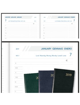 AGENDA AURORA 2 PAGES/JOUR 32*13cm 2026