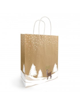 Sac kraft Anses Torsadées 'Tino' - 23*12*30cm
