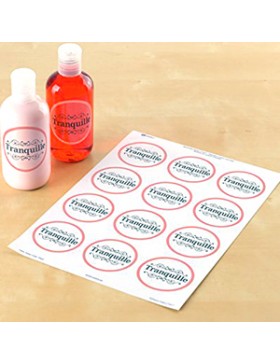 FEUILLE 12 ÉTIQUETTES Ø 60mm TRANSPARENTE - AVERY L7127