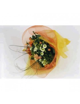 FIBRE ZÉPHIR 0,55*9,10m