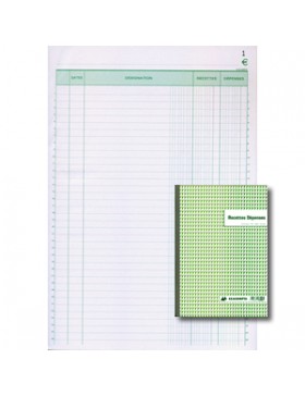 RECETTE DÉPENSE EXACOMPTA  13500 2 COPIES 21*29.7cm
