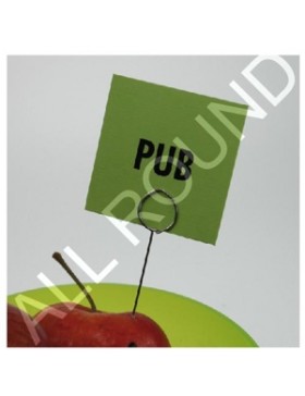 PINCE PIQUE PRIX INOXYDABLE Ø20mm*75mm