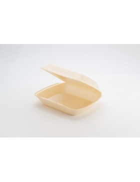 LunchBox 1 comp. - 245*210*72mm  - Champagne - XPS