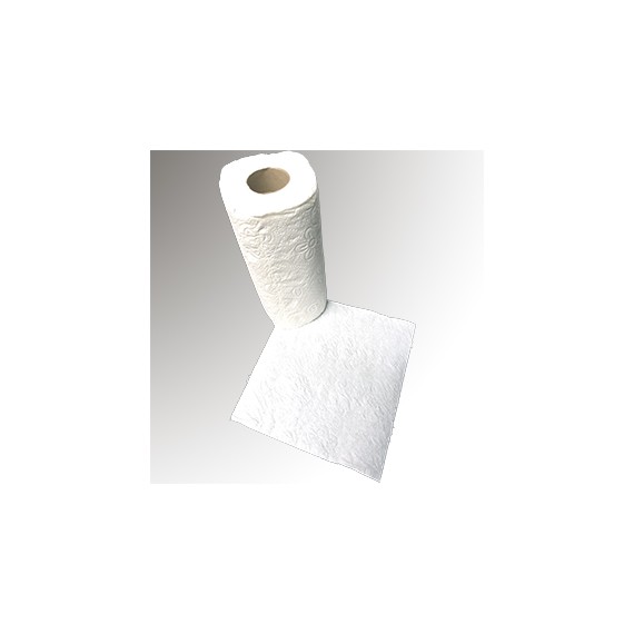 PAPIER ESSUIE TOUT MENAGE 50 flles 0,22*0,2cm 2 Ép.